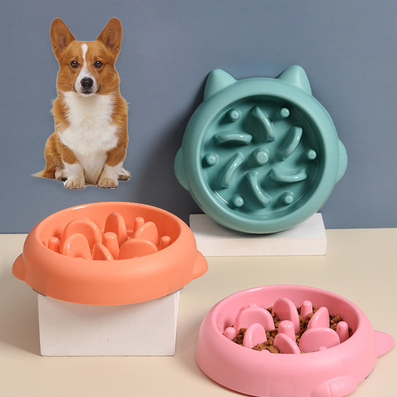 Pet Slow Feeder Bowl Anti-Choking Dish for Dogs & Cats